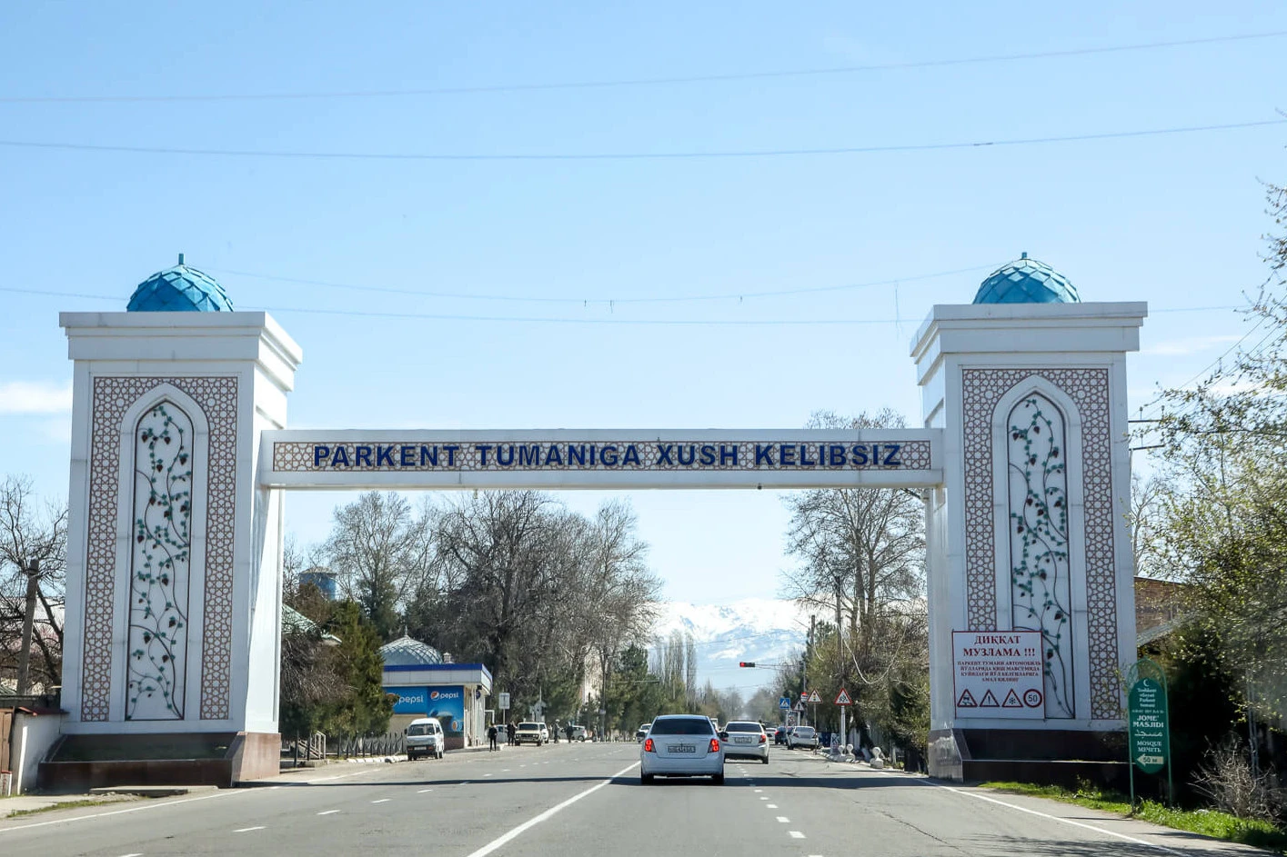 Tumanga kirish darvozasi